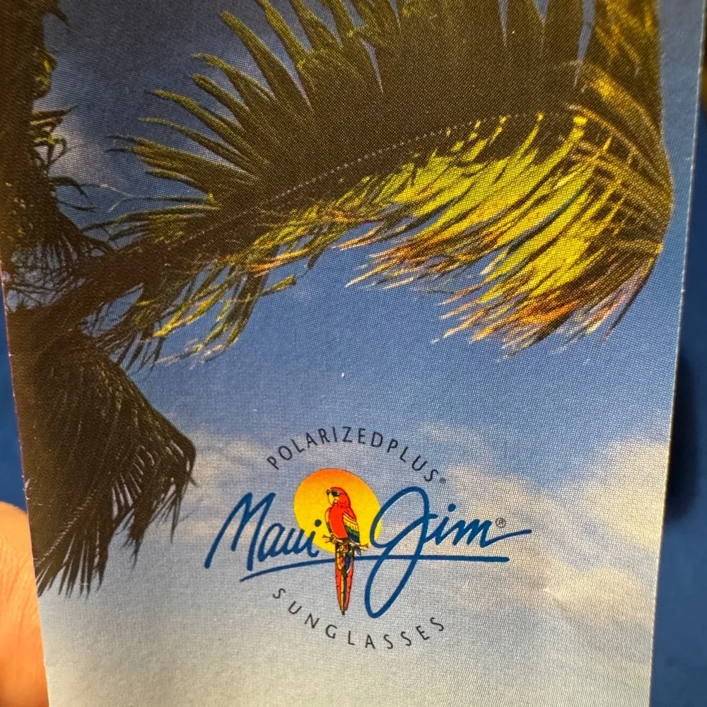 Maui Jim Ray-Ban Kids Sunglasses with Blue Lenses